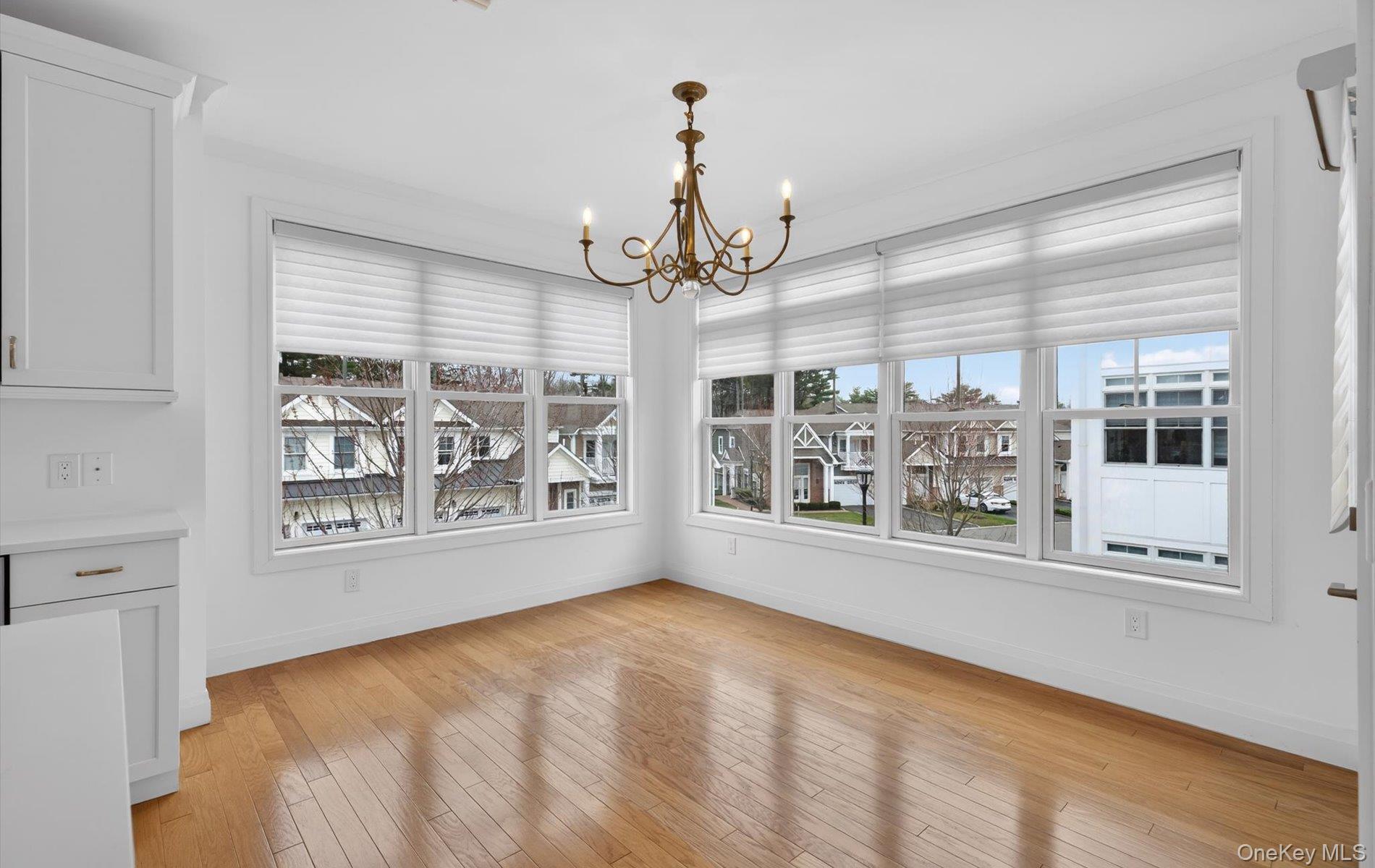 Condo Spruce Pond  Nassau County, NY 11803, MLS-978355-16