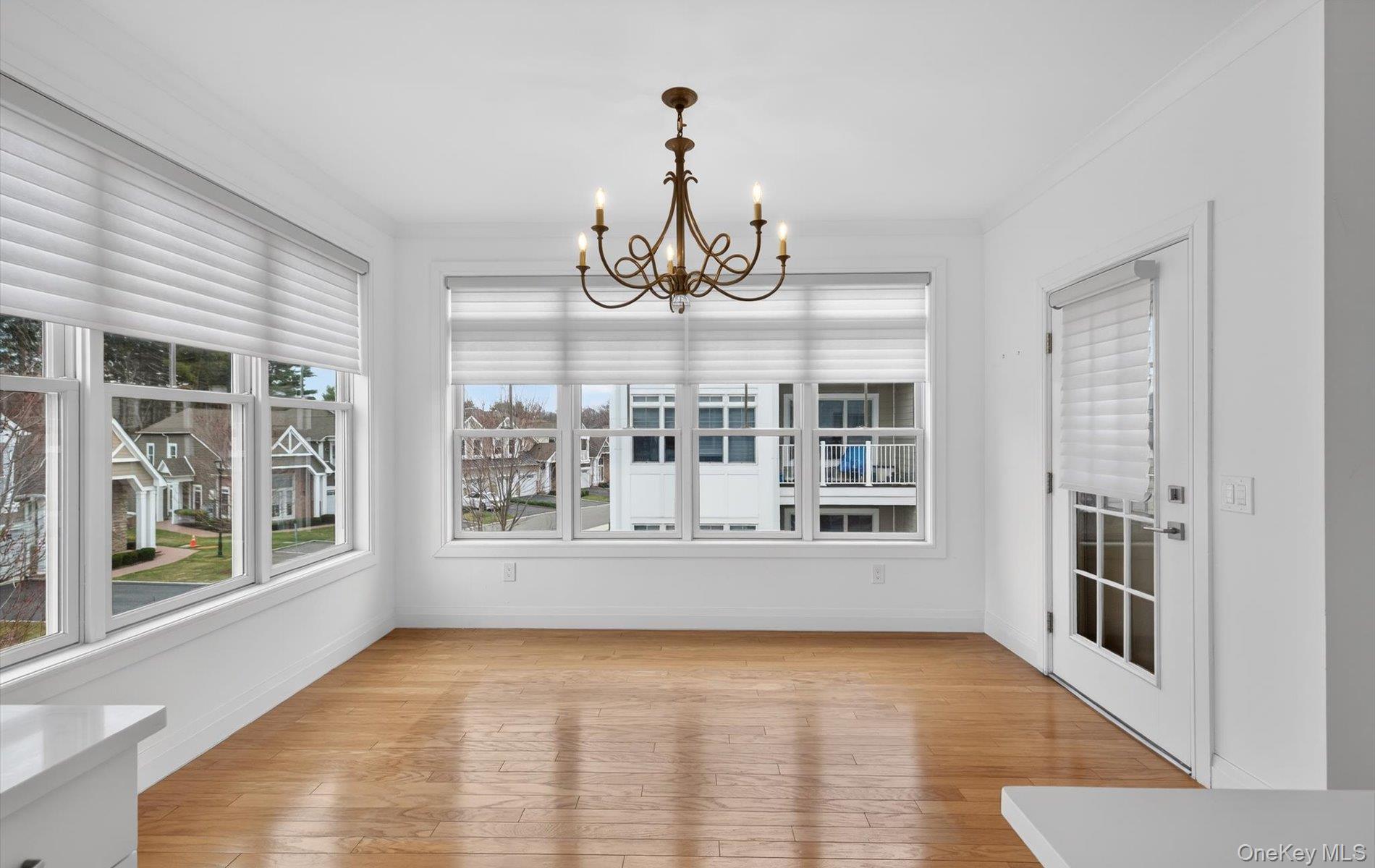 Condo Spruce Pond  Nassau County, NY 11803, MLS-978355-17