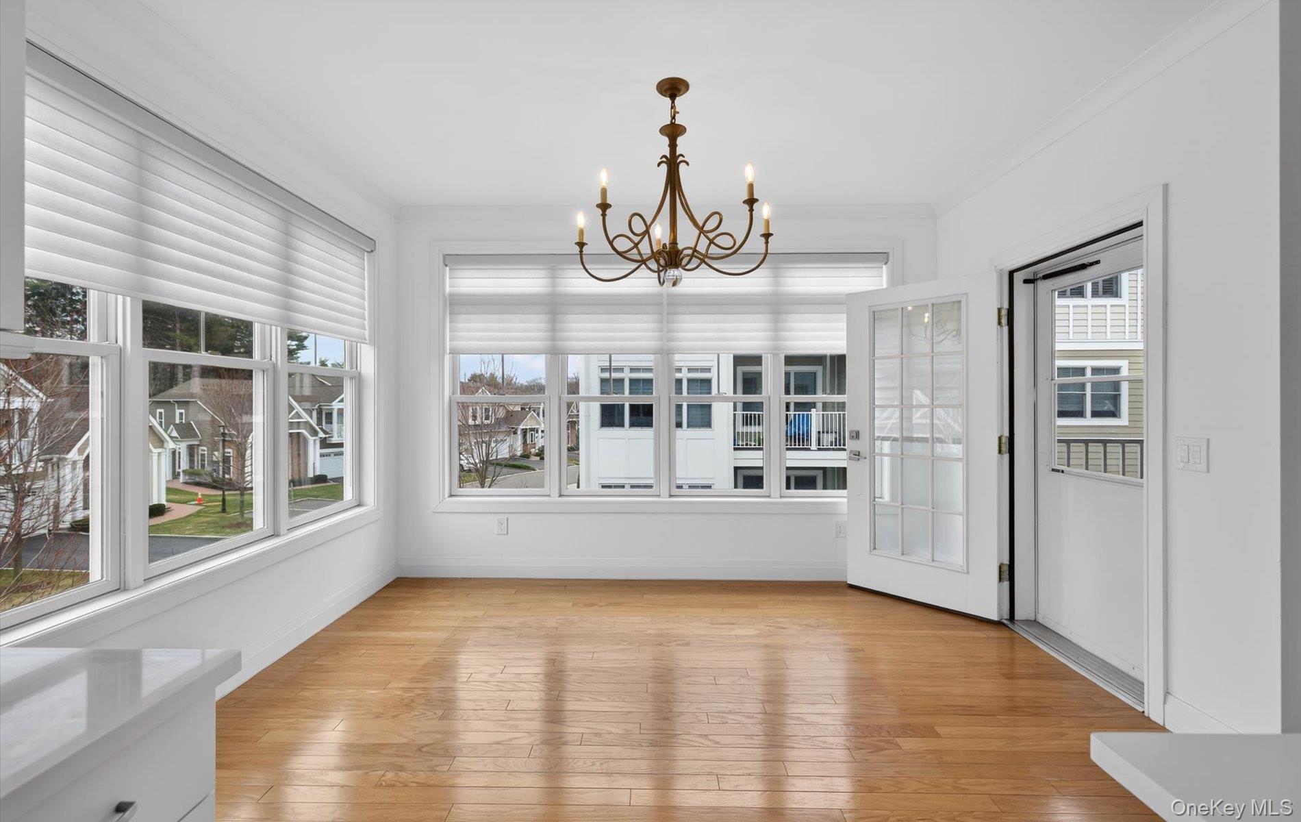 Condo Spruce Pond  Nassau County, NY 11803, MLS-978355-18