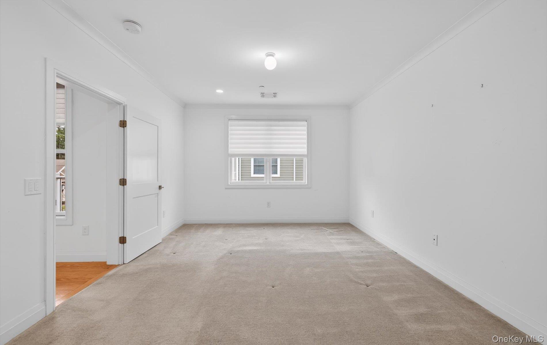 Condo Spruce Pond  Nassau County, NY 11803, MLS-978355-21