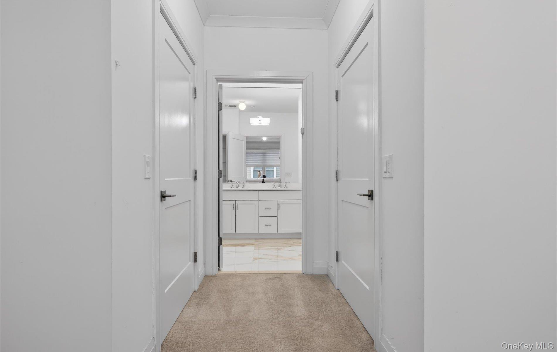 Condo Spruce Pond  Nassau County, NY 11803, MLS-978355-23