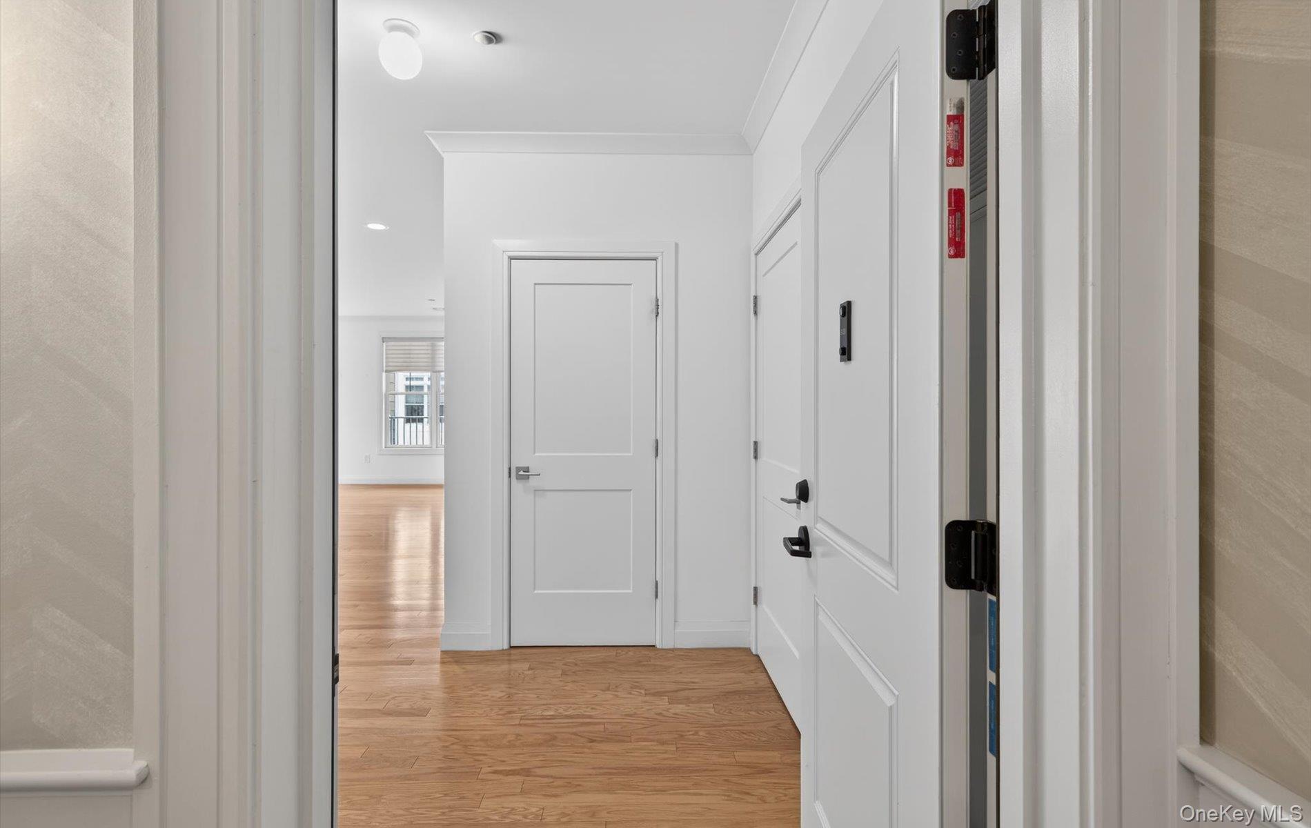 Condo Spruce Pond  Nassau County, NY 11803, MLS-978355-9