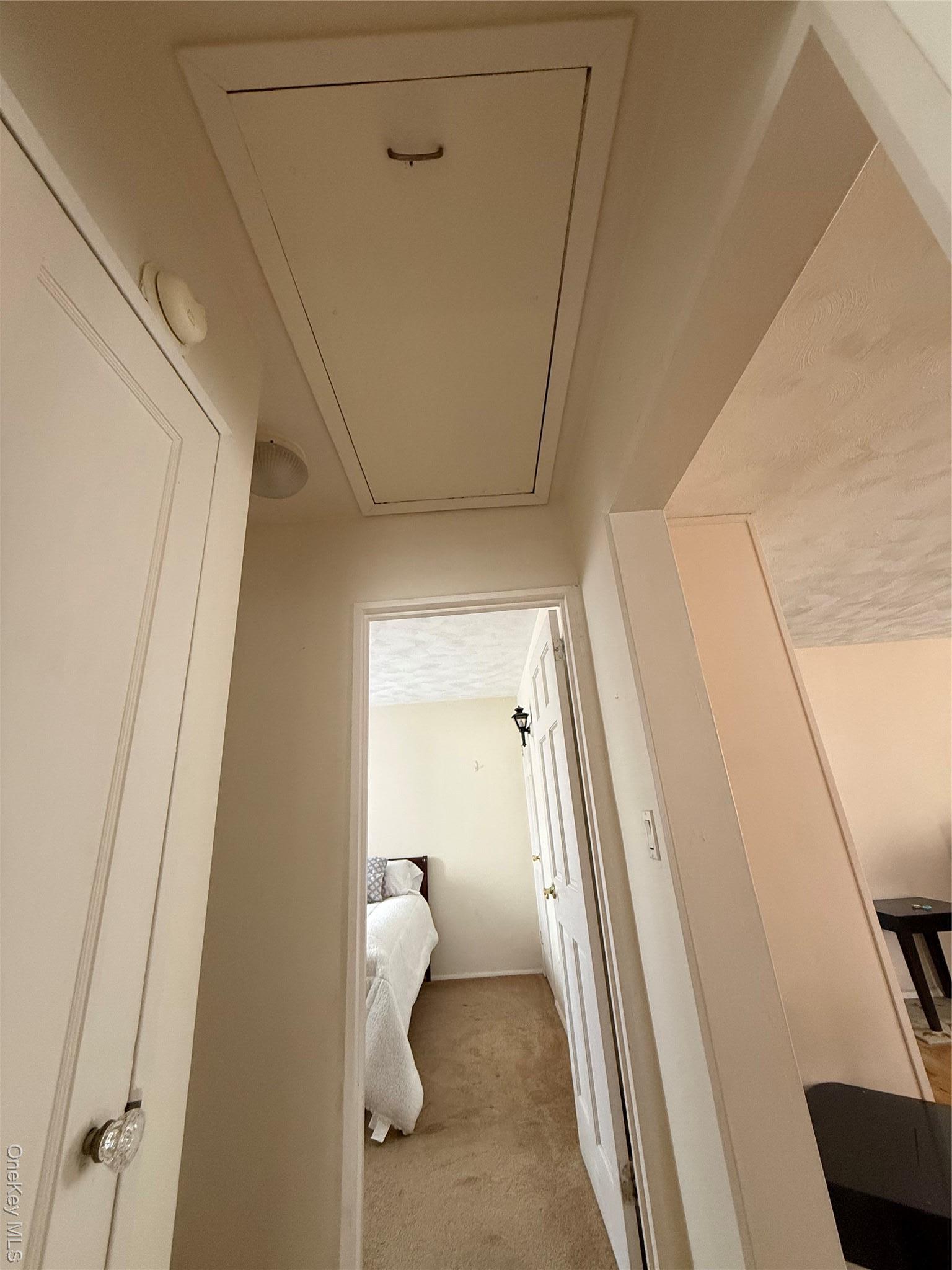 Coop 202nd  Queens, NY 11360, MLS-978361-31