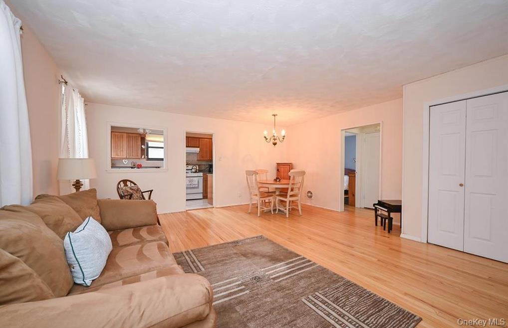 Coop 202nd  Queens, NY 11360, MLS-978361-8