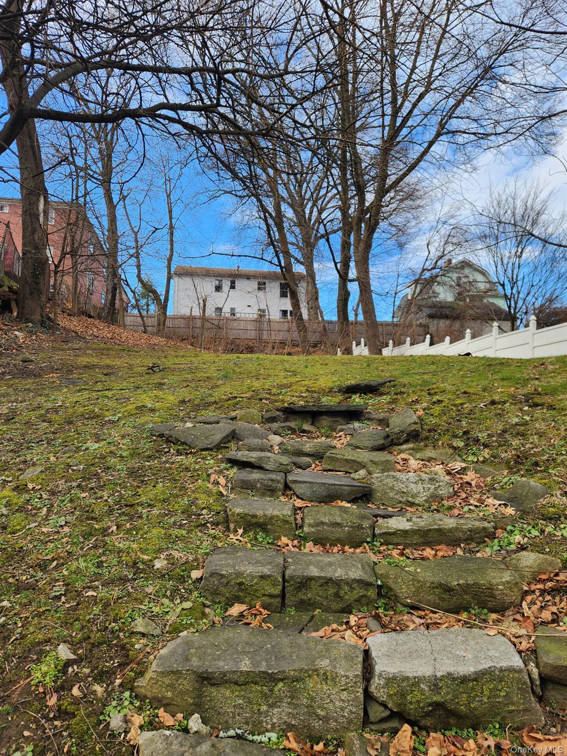 Single Family Battle  Westchester County, NY 10606, MLS-978450-2