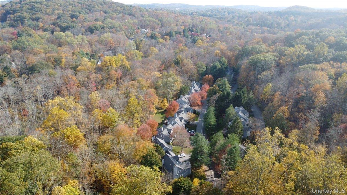 Condo Old Town Crossing  Westchester County, NY 10549, MLS-978472-44