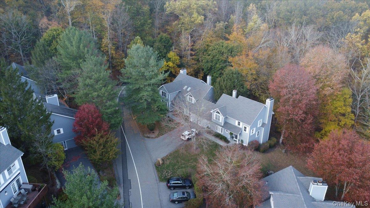 Condo Old Town Crossing  Westchester County, NY 10549, MLS-978472-45