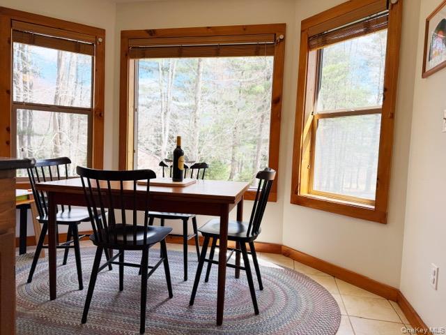 Single Family State Route 55  Sullivan County, NY 12720, MLS-978498-11