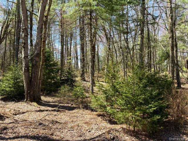 Single Family State Route 55  Sullivan County, NY 12720, MLS-978498-23