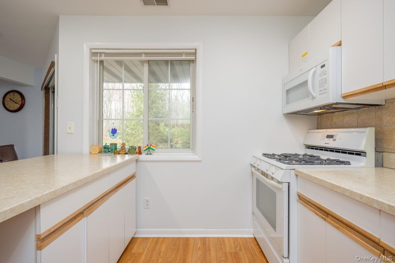 Condo Eagle Ridge  Rockland County, NY 10954, MLS-978556-15