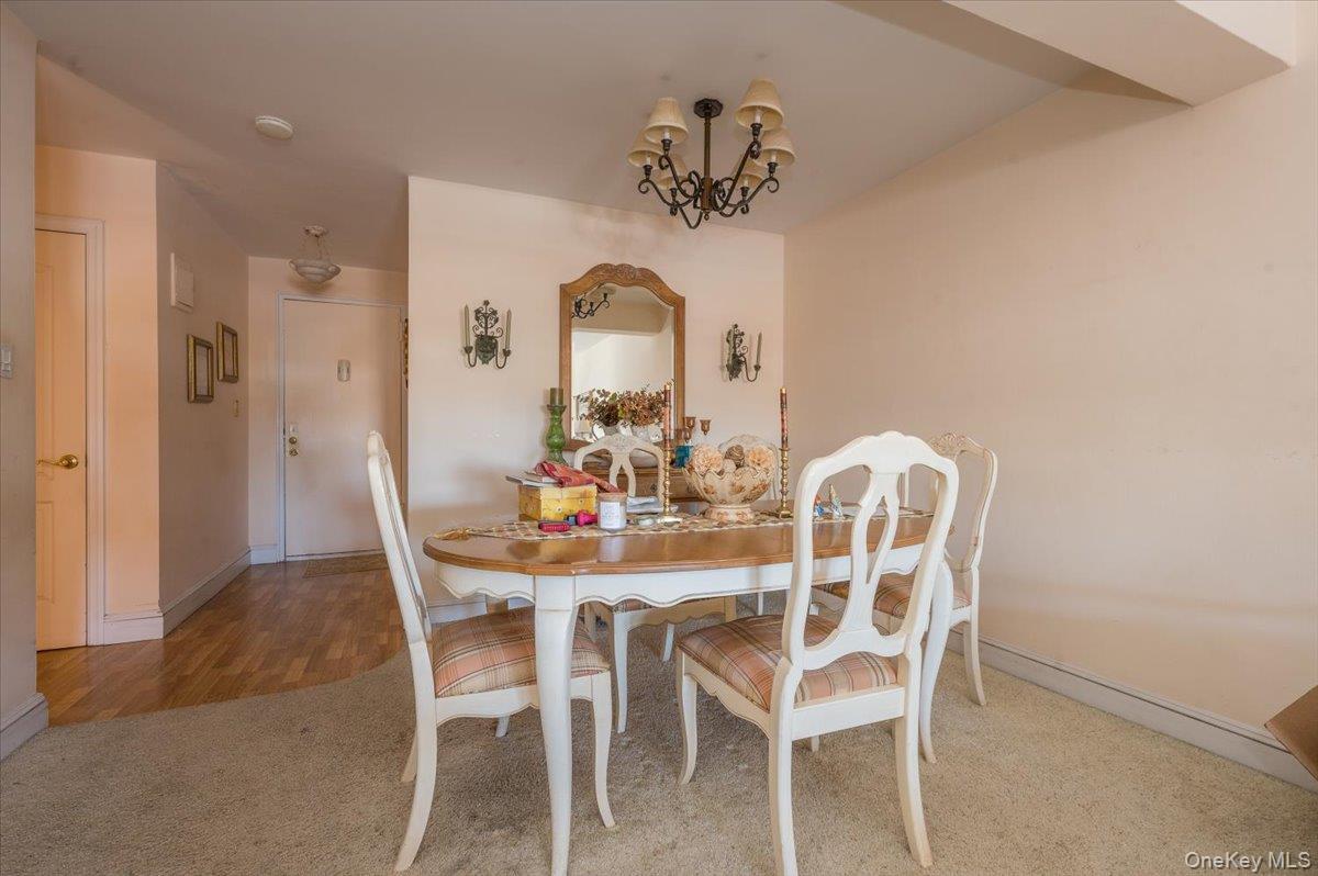 Coop Dubois Ave  Nassau County, NY 11581, MLS-978557-7