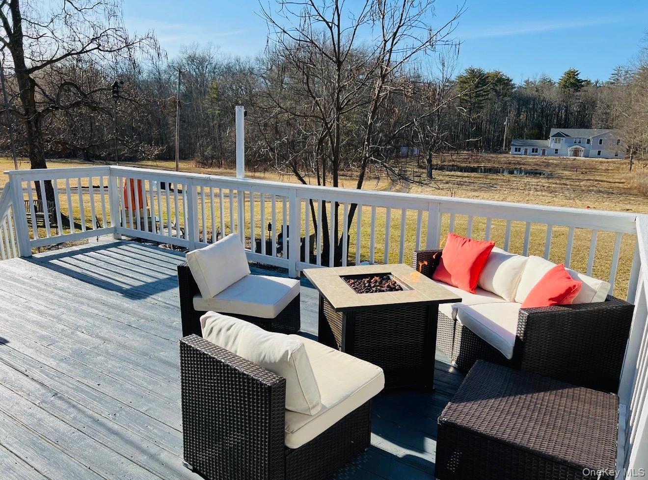 Single Family Bruynswick Road  Ulster County, NY 12589, MLS-978565-19