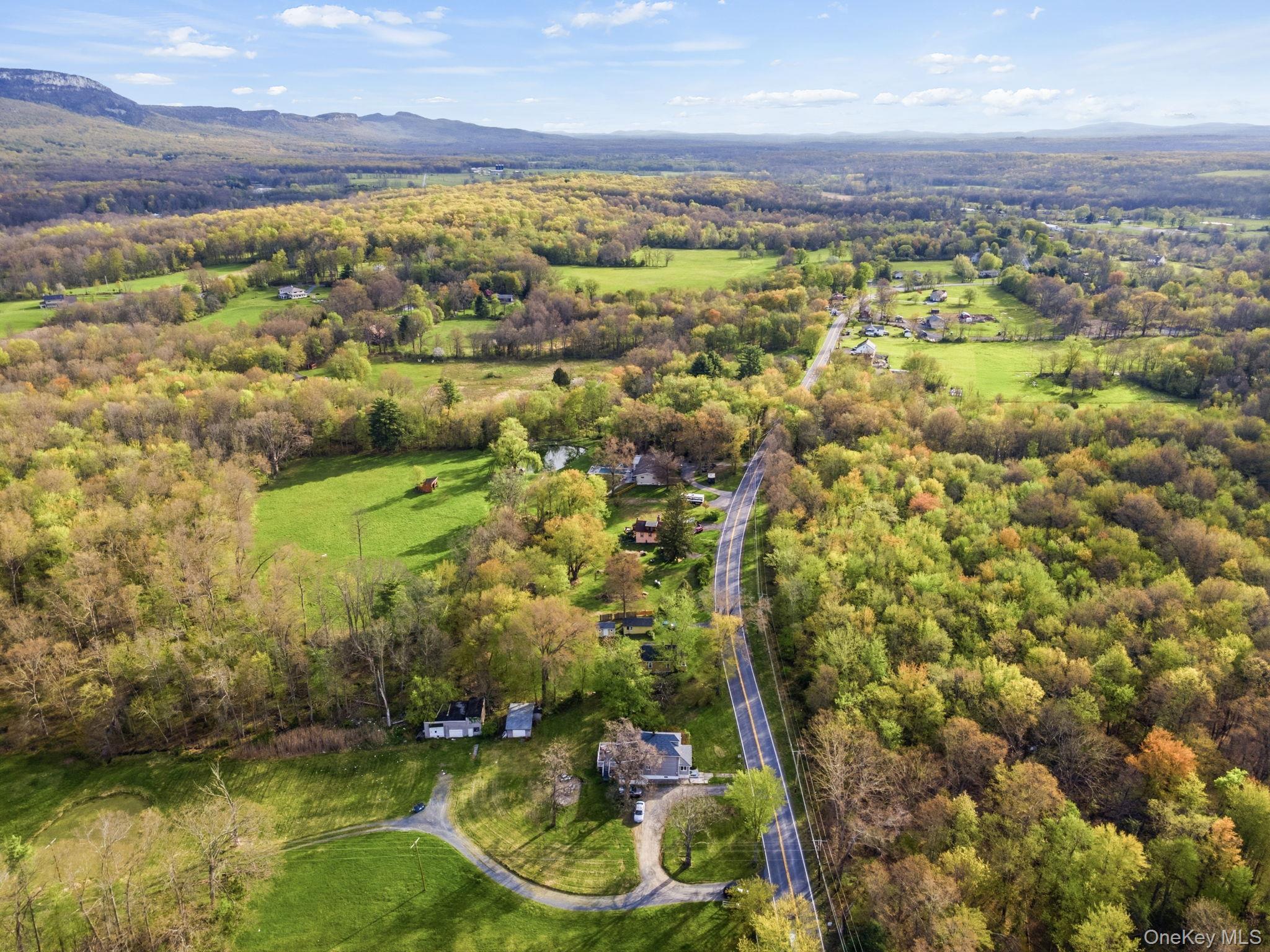 Single Family Bruynswick Road  Ulster County, NY 12589, MLS-978565-24