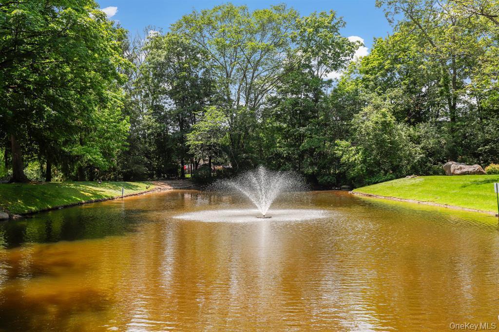 Condo Deer Ct  Orange County, NY 10940, MLS-978576-22