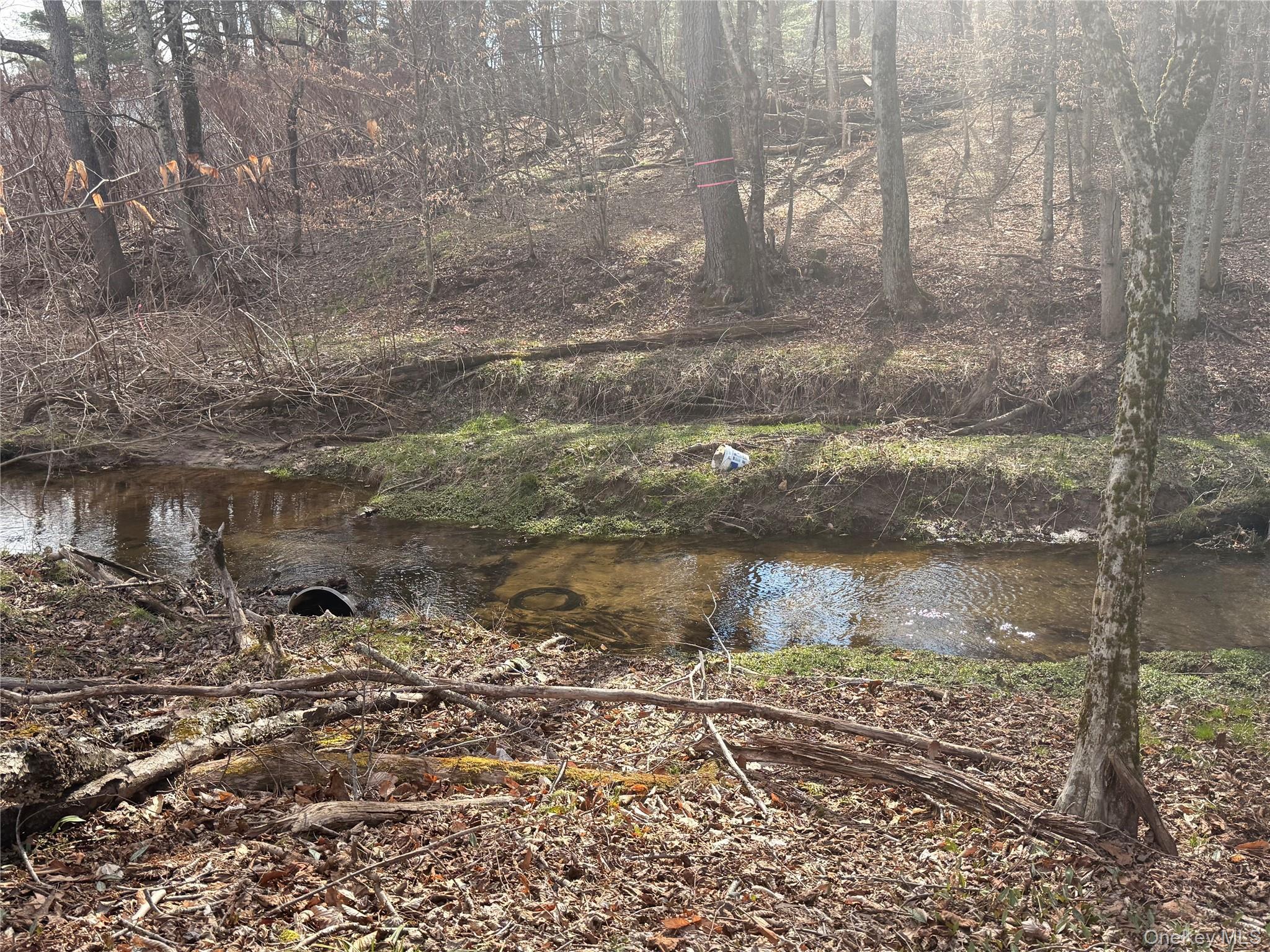 Single Family Essex  Sullivan County, NY 12759, MLS-978581-17