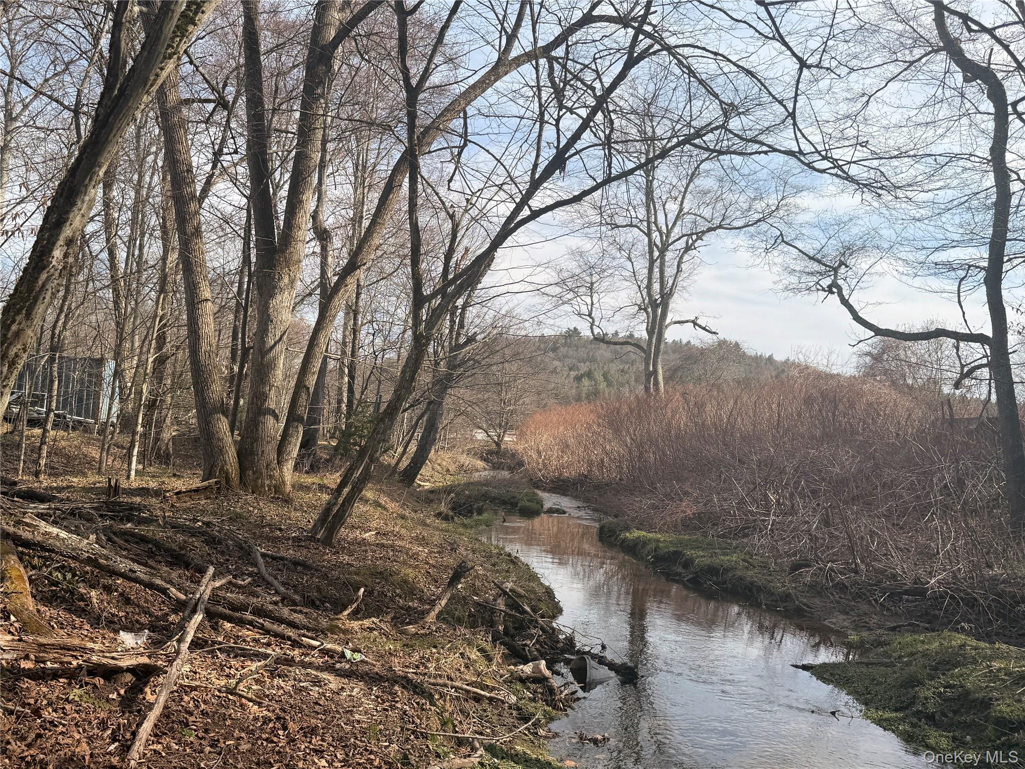 Single Family Essex  Sullivan County, NY 12759, MLS-978581-21