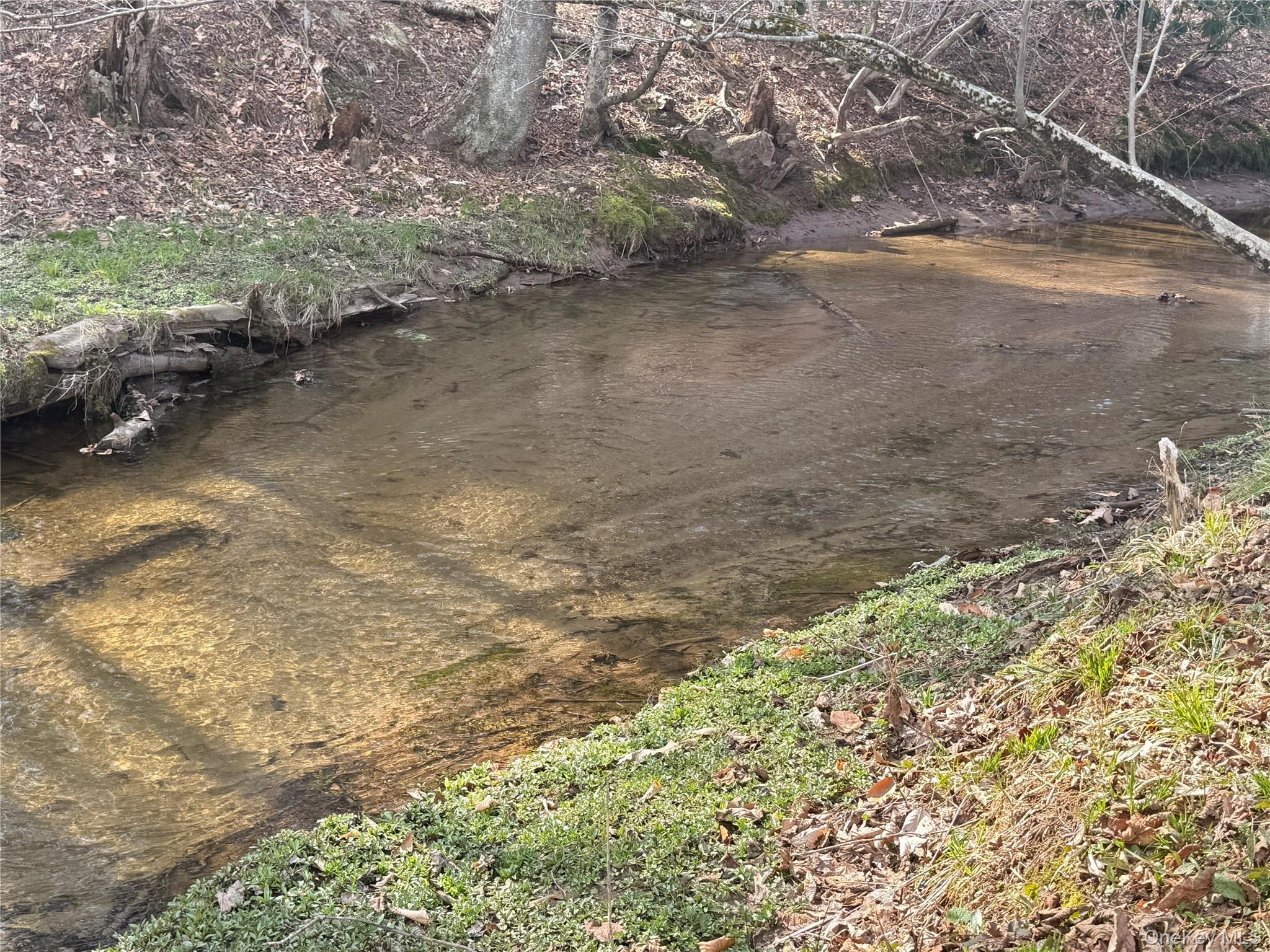 Single Family Essex  Sullivan County, NY 12759, MLS-978581-23