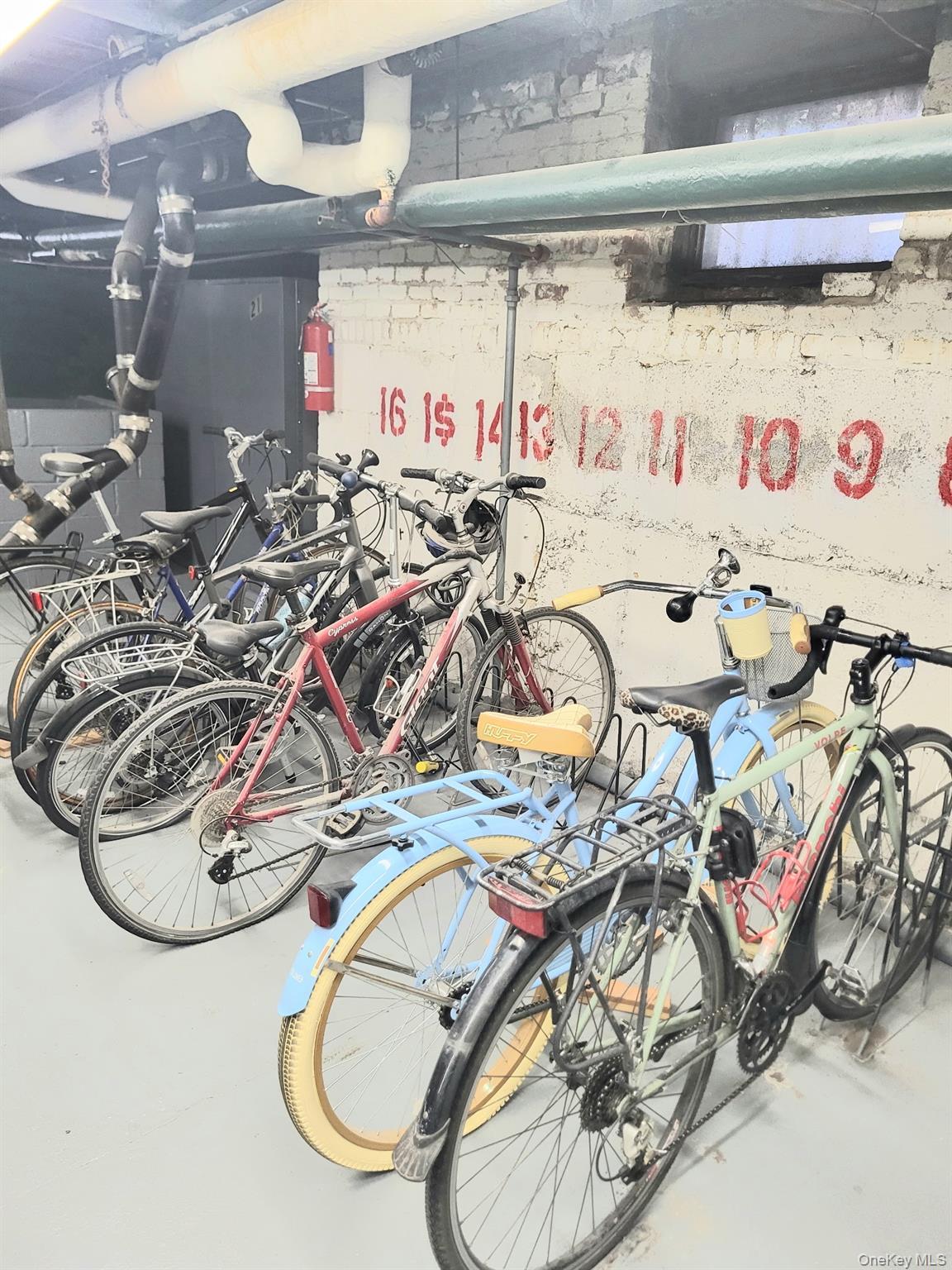 Coop 82nd  Queens, NY 11372, MLS-978607-19