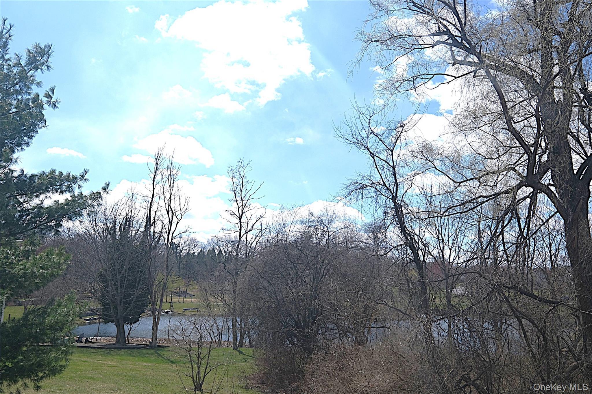 Single Family Bushwick  Dutchess County, NY 12603, MLS-978612-28