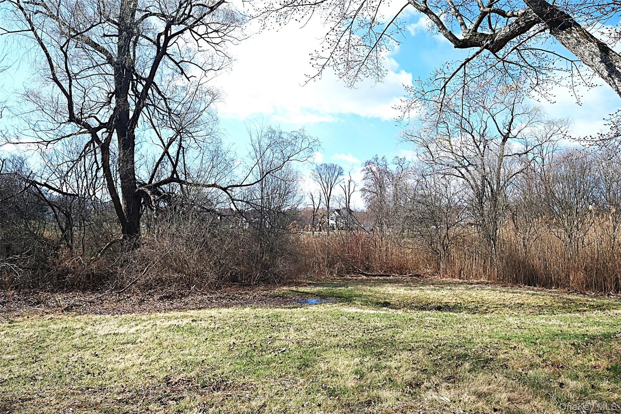 Single Family Bushwick  Dutchess County, NY 12603, MLS-978612-29