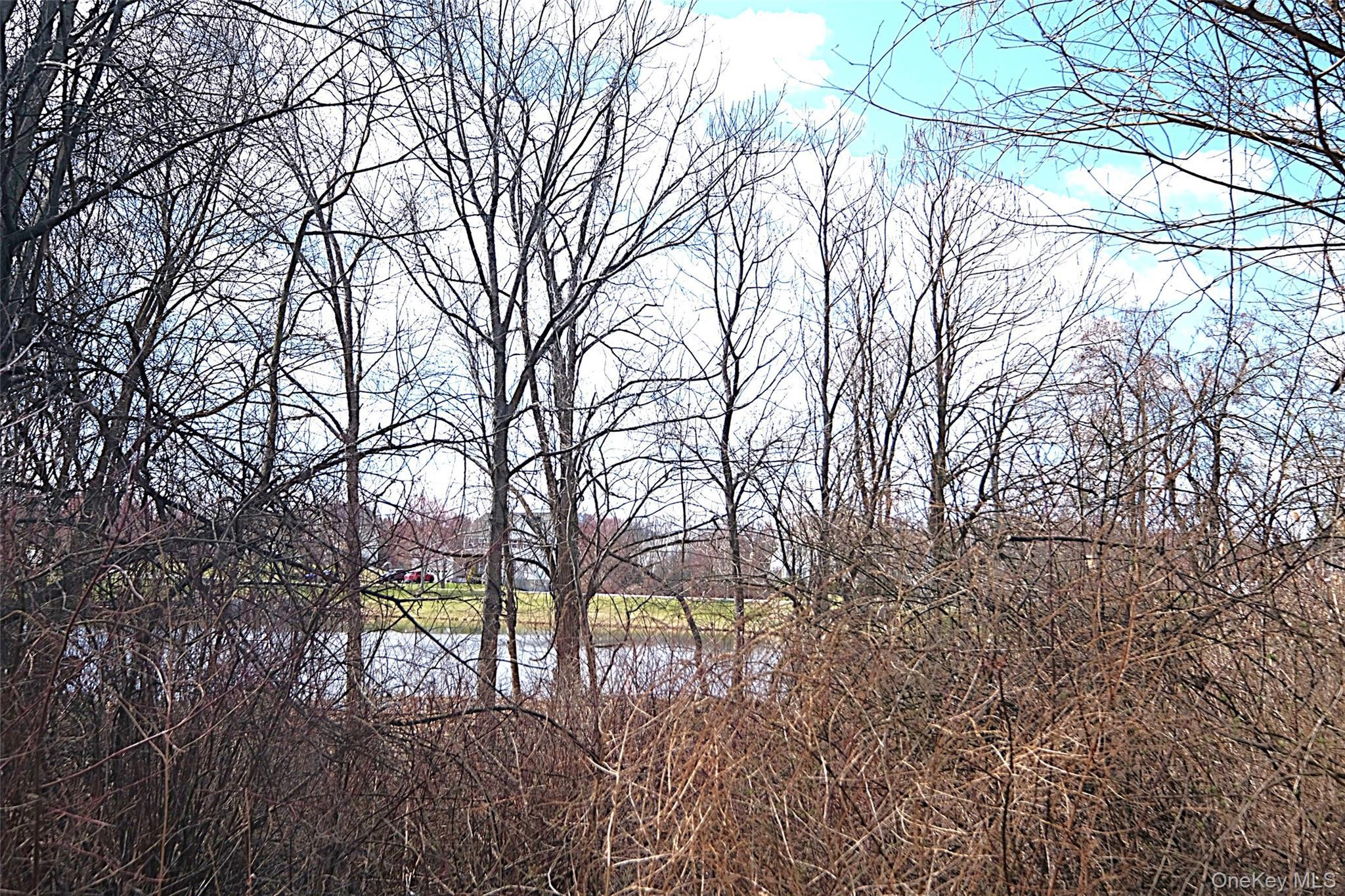 Single Family Bushwick  Dutchess County, NY 12603, MLS-978612-30