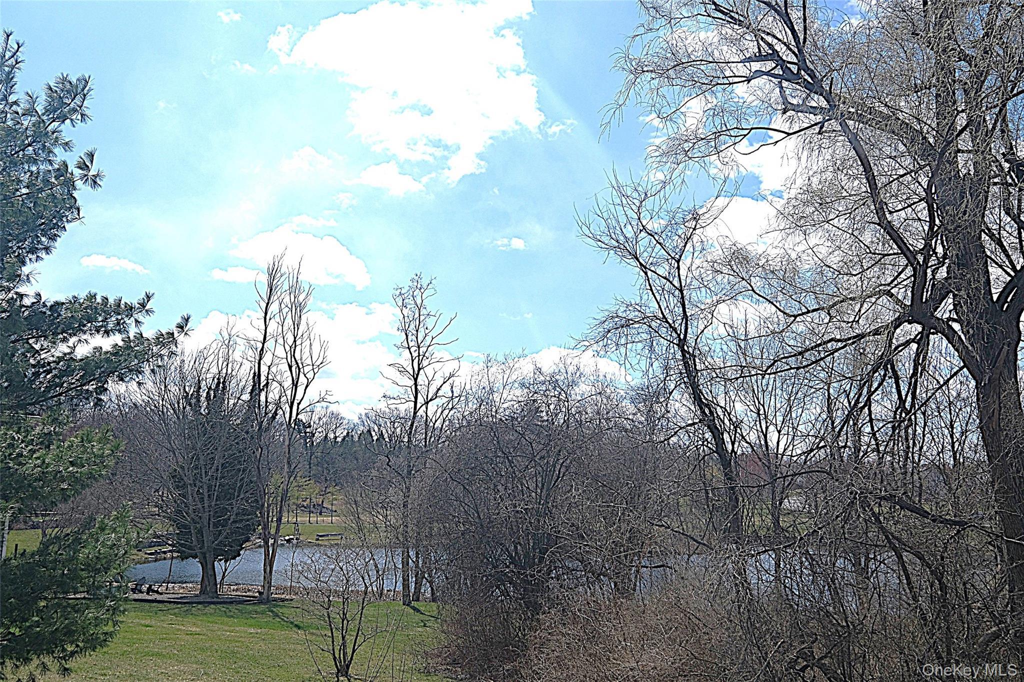 Single Family Bushwick  Dutchess County, NY 12603, MLS-978612-32