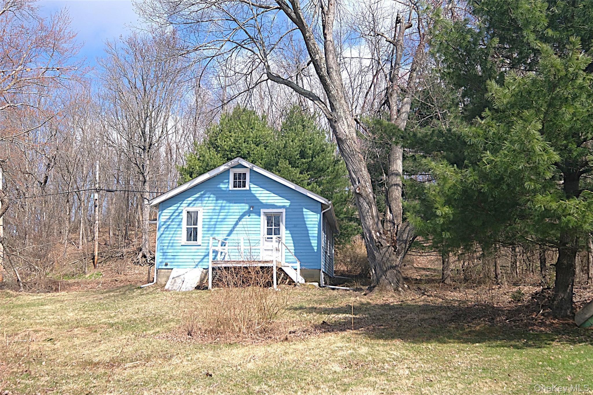 Single Family Bushwick  Dutchess County, NY 12603, MLS-978612-7