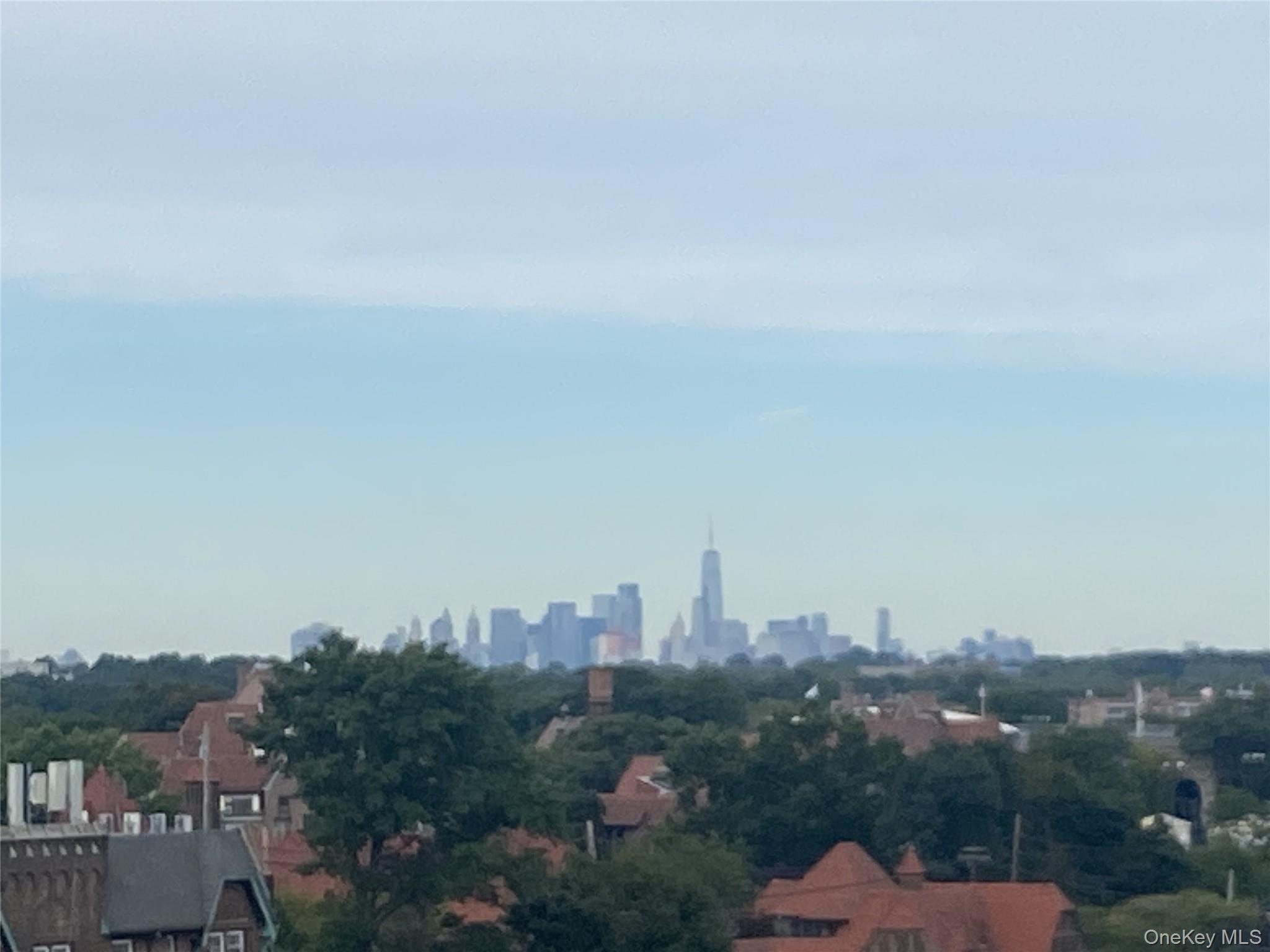 Condo 72nd  Queens, NY 11375, MLS-978632-19