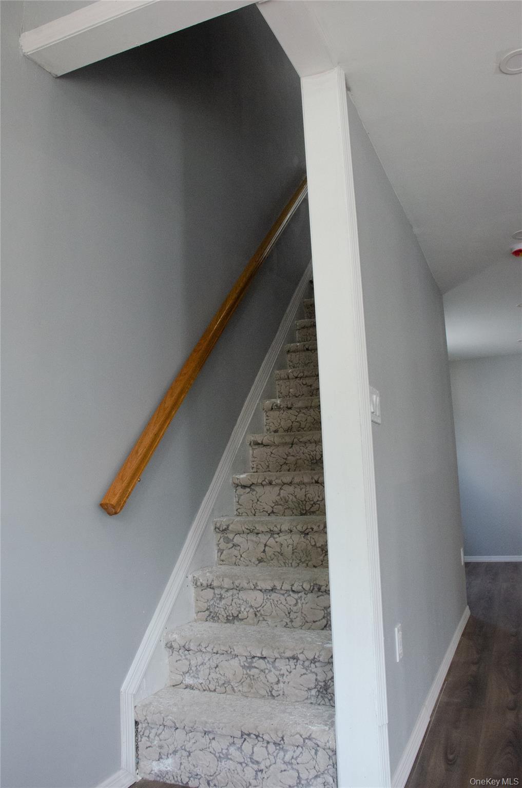 Single Family 88th  Brooklyn, NY 11236, MLS-978636-8