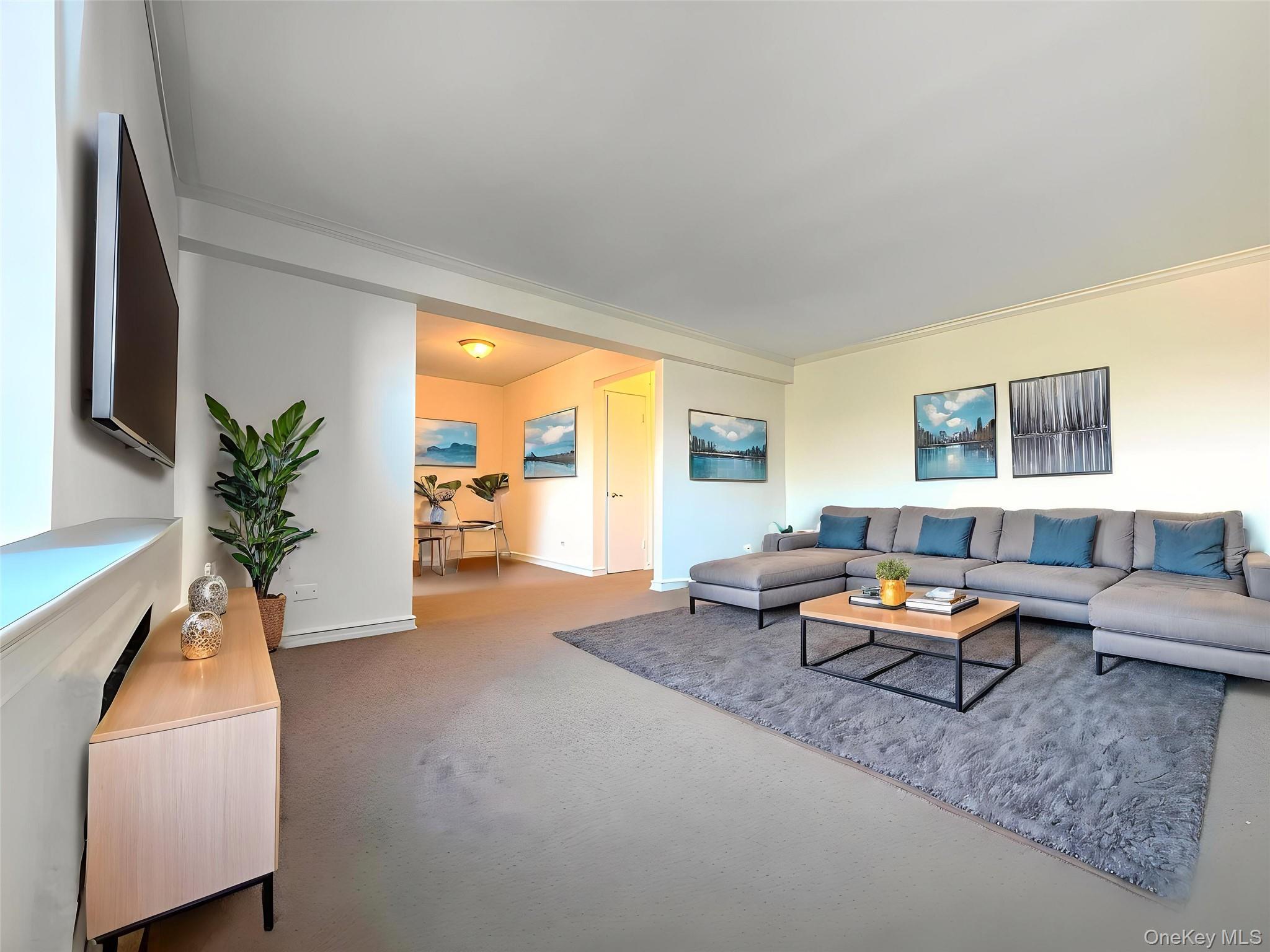 Coop Bell Blvd  Queens, NY 11364, MLS-978650-9