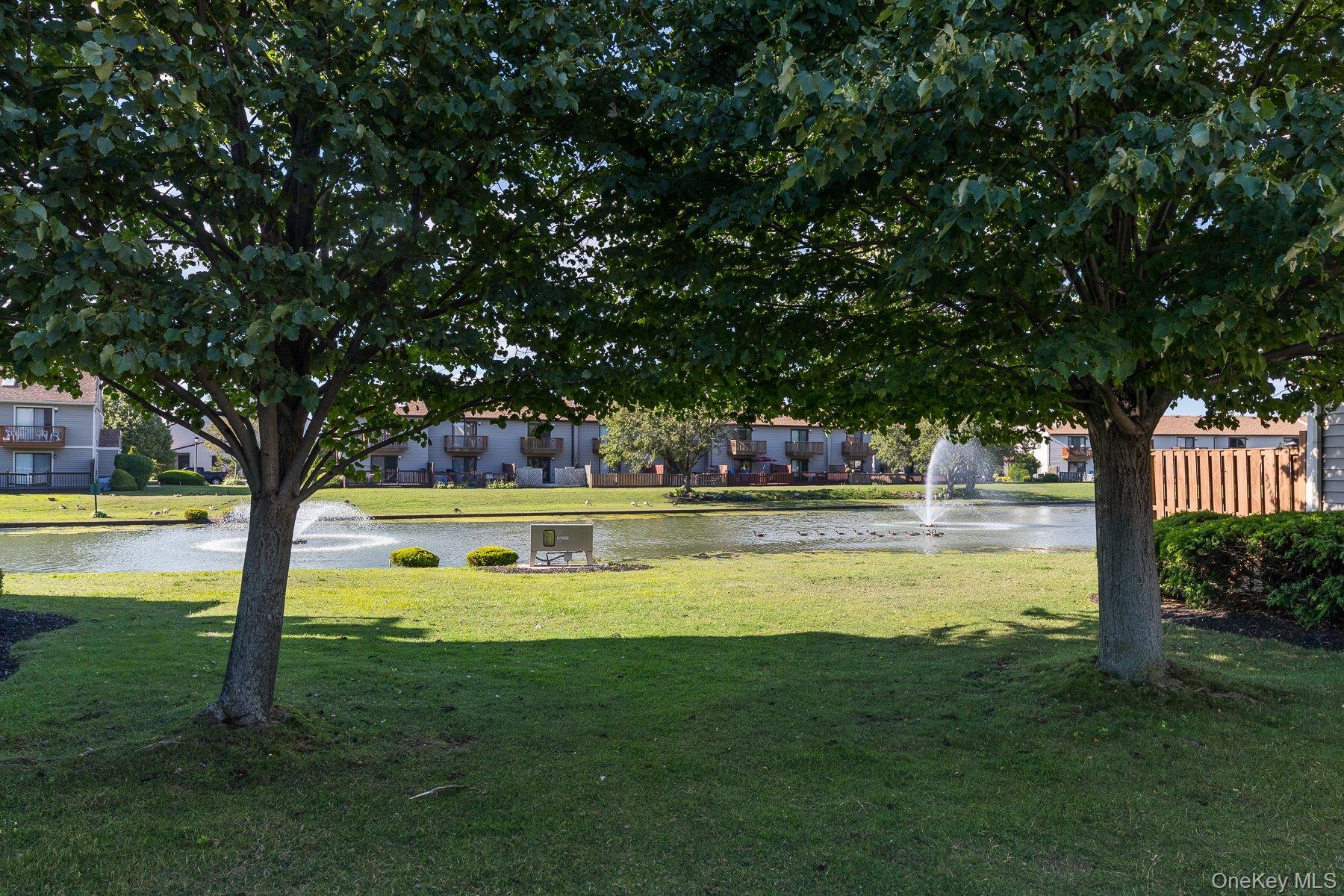 Coop Daly  Nassau County, NY 11572, MLS-978685-34