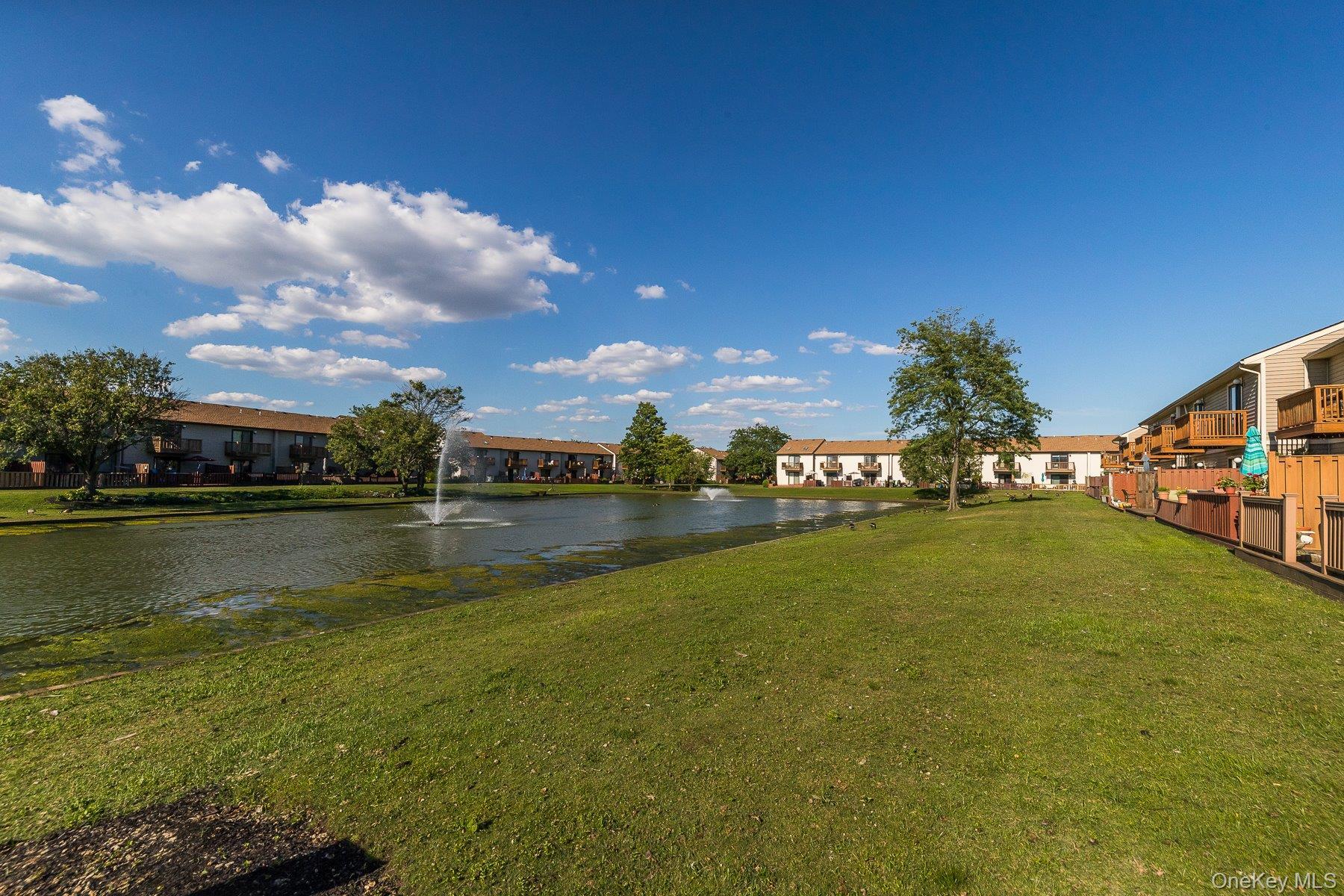 Coop Daly  Nassau County, NY 11572, MLS-978685-38