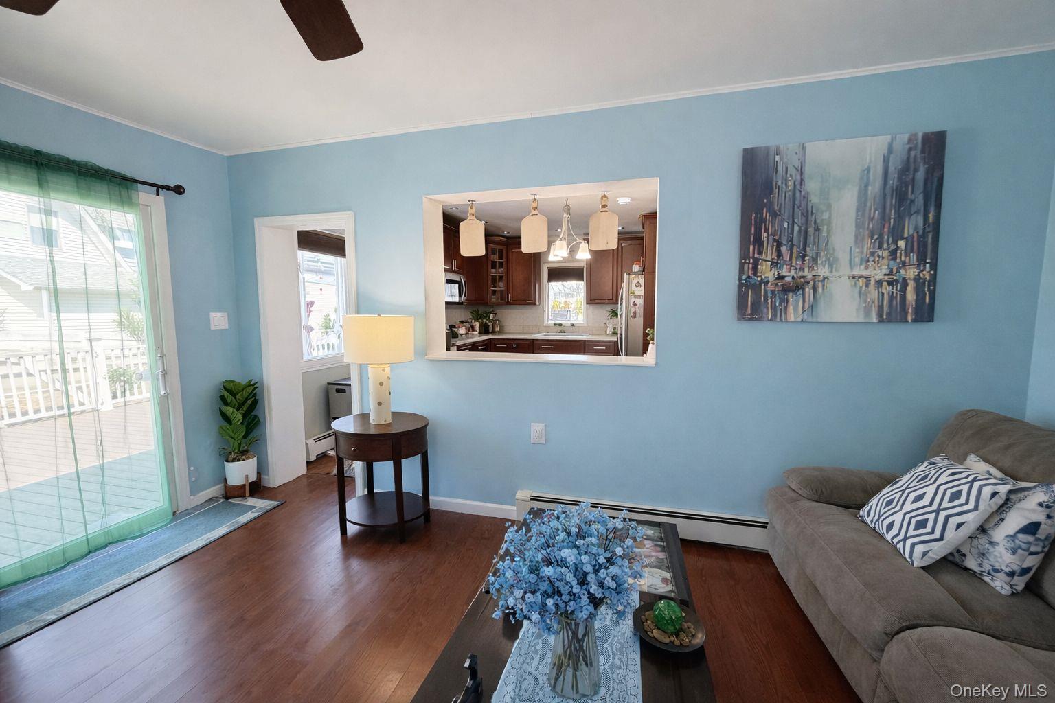 Single Family Meyer Avenue Nassau County, NY 11559, MLS-978720-42