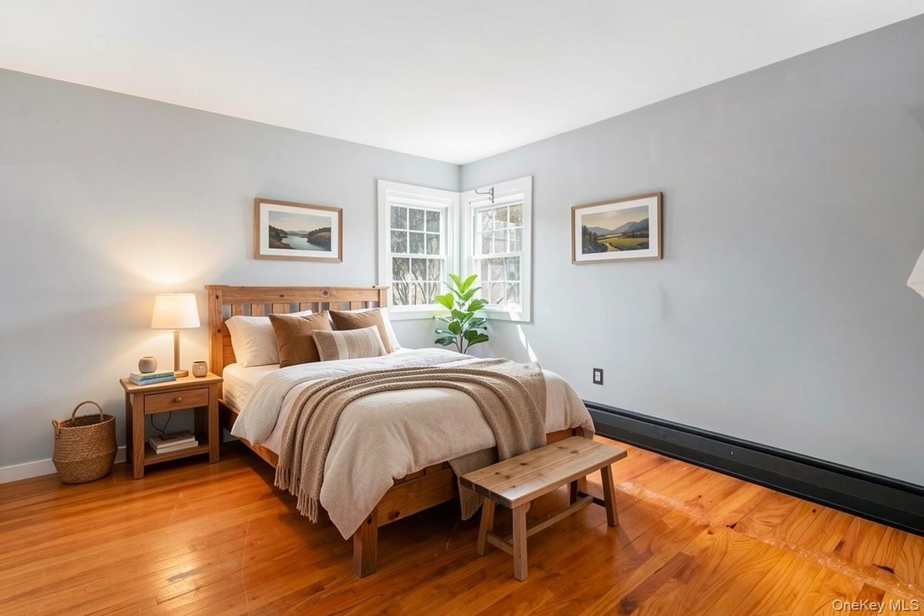 Single Family State Route 22  Columbia County, NY 12529, MLS-978730-13