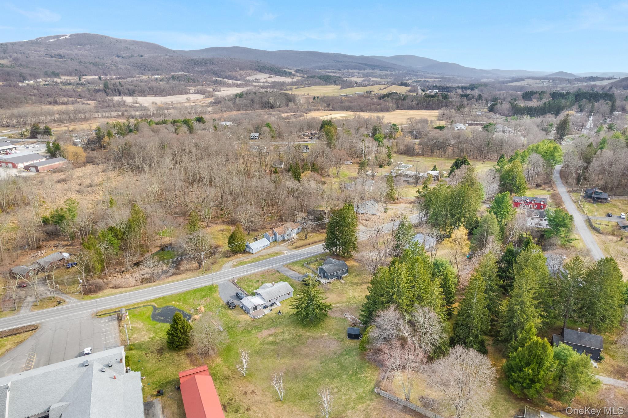 Single Family State Route 22  Columbia County, NY 12529, MLS-978730-19