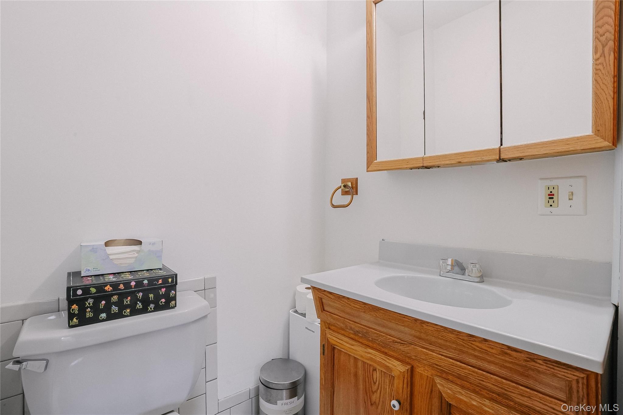 Single Family Mary Ulster County, NY 12449, MLS-978752-19