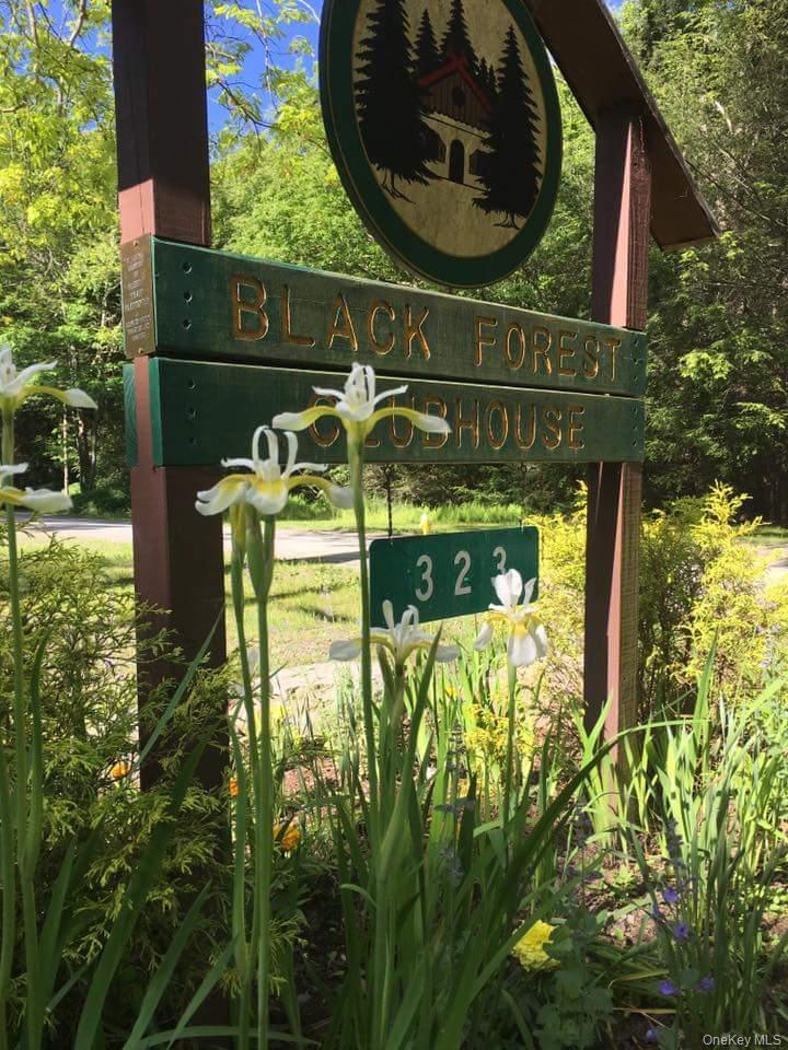 Single Family Upper Lumber  Sullivan County, NY 12737, MLS-978781-32