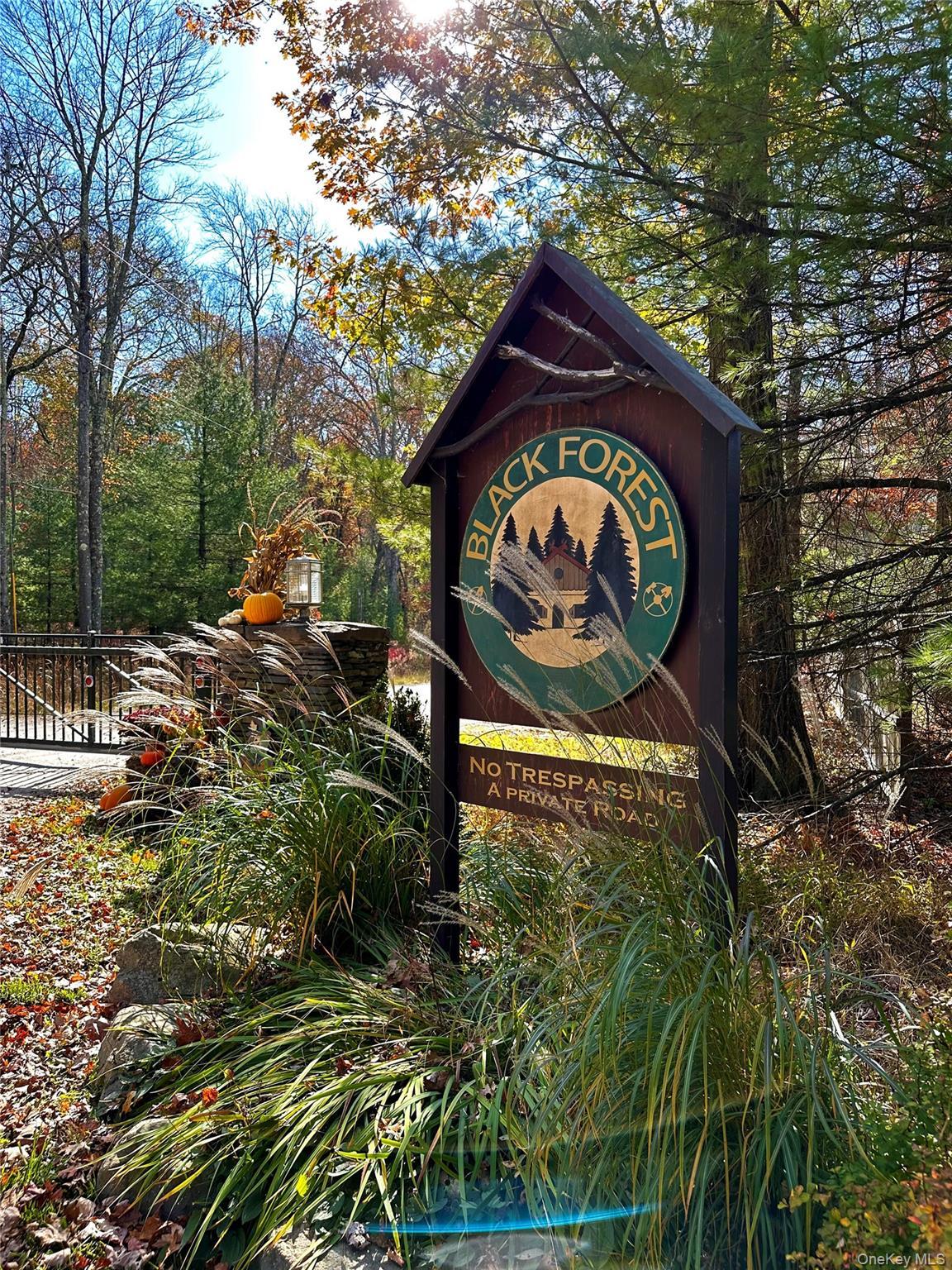 Single Family Upper Lumber  Sullivan County, NY 12737, MLS-978781-35