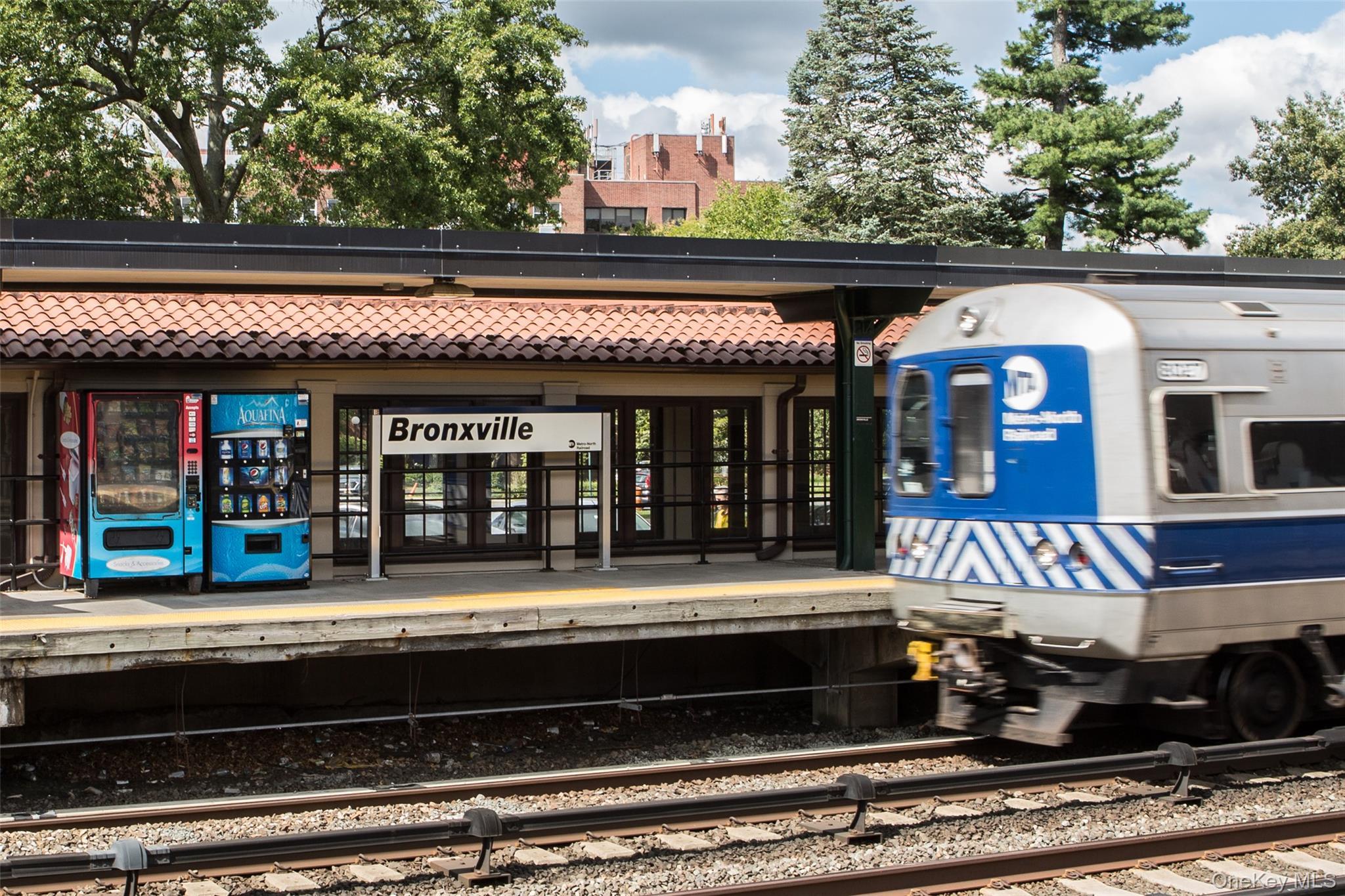 Coop Lake  Westchester County, NY 10708, MLS-978794-16