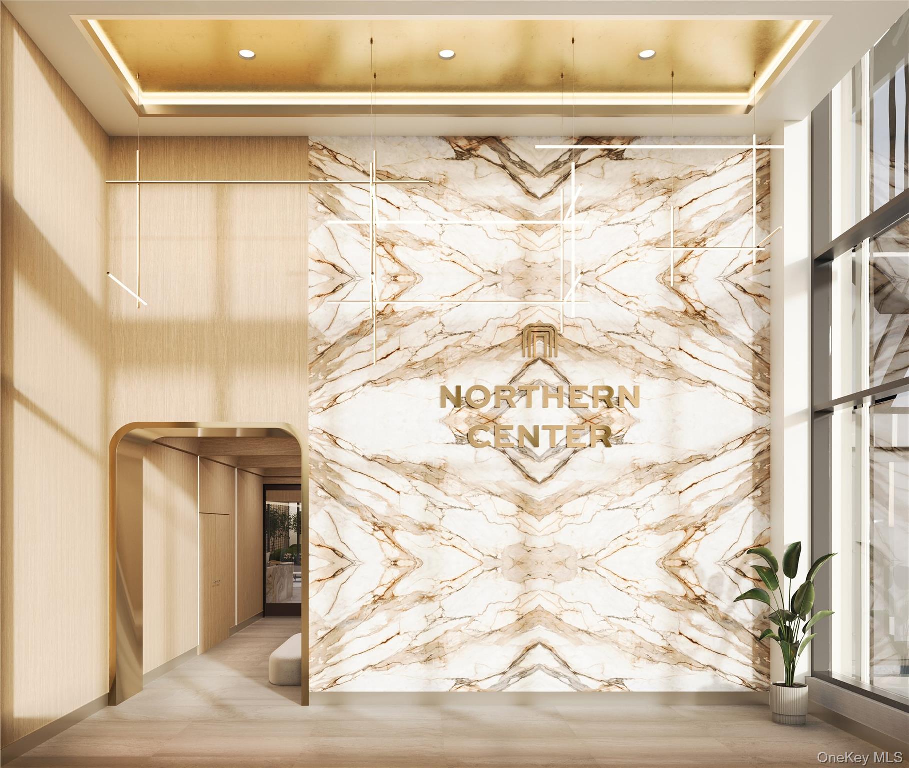 Condo Northern Queens, NY 11354, MLS-978808-4