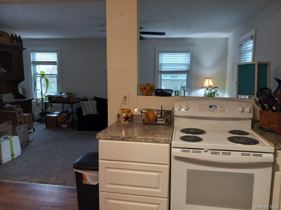 Single Family Hope Sullivan County, NY 12747, MLS-978829-22