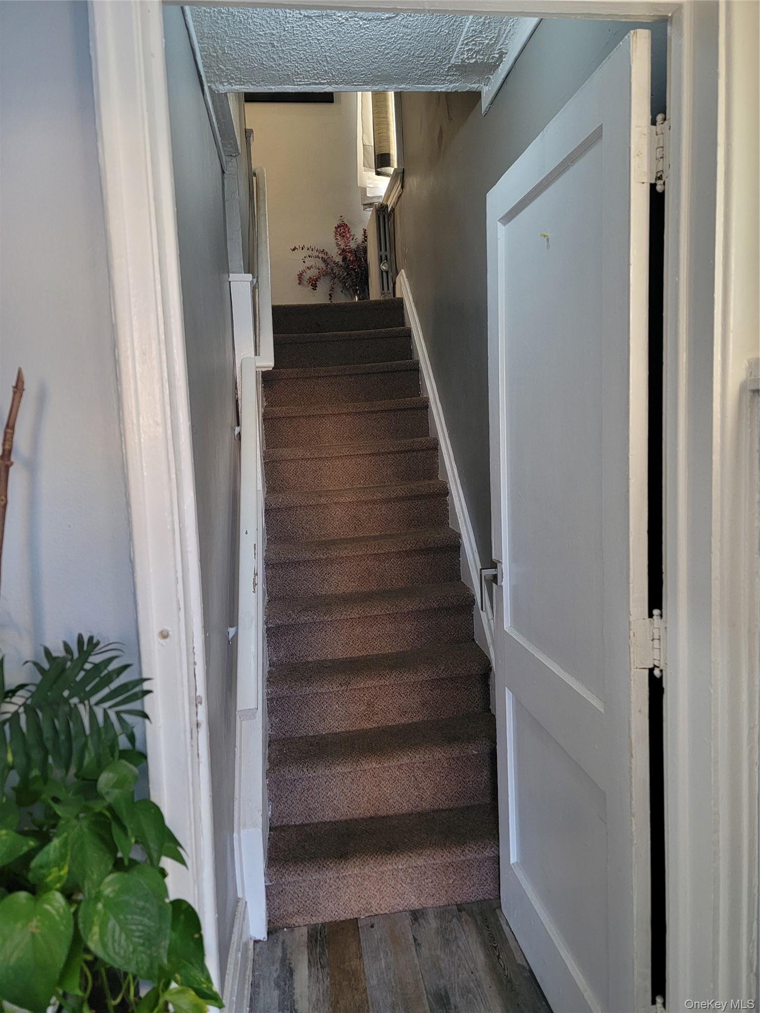 Single Family 207th  Queens, NY 11429, MLS-978919-6