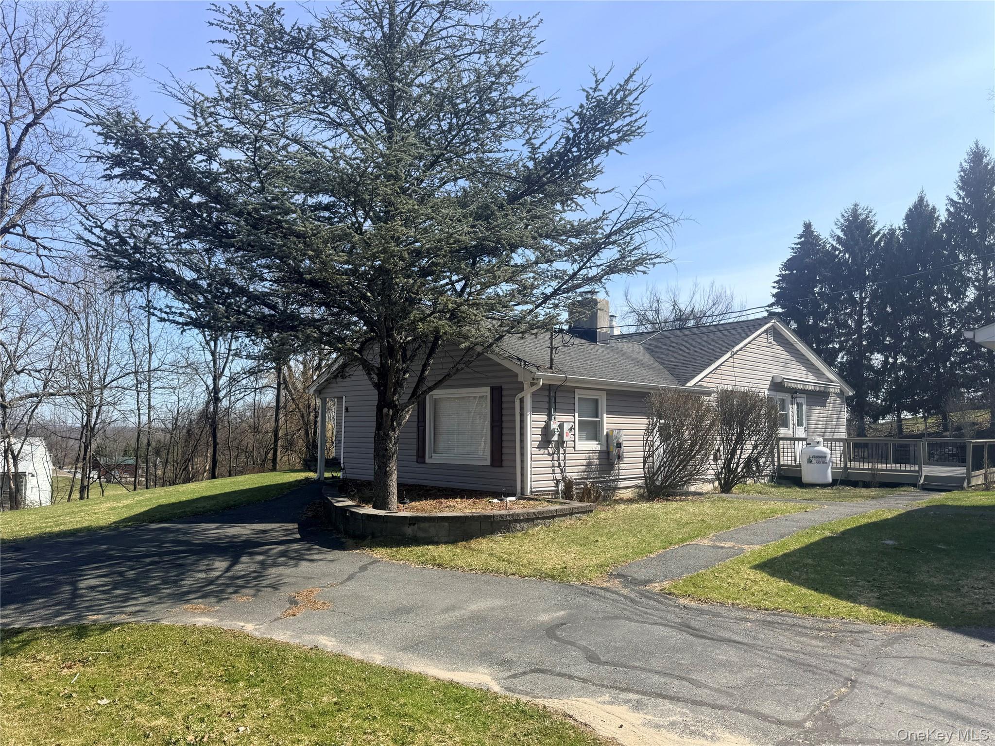 Single Family Upper Rd  Sullivan County, NY 10940, MLS-978950-2