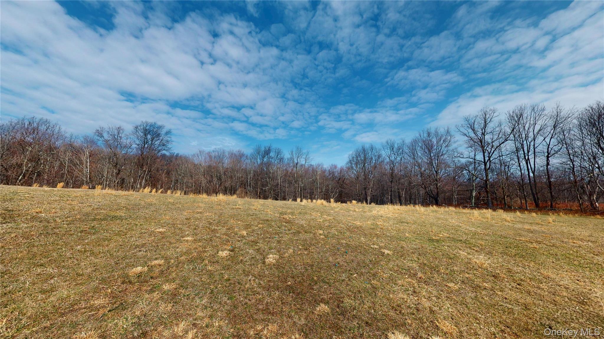 Single Family Blue Heron  Orange County, NY 12771, MLS-978954-39