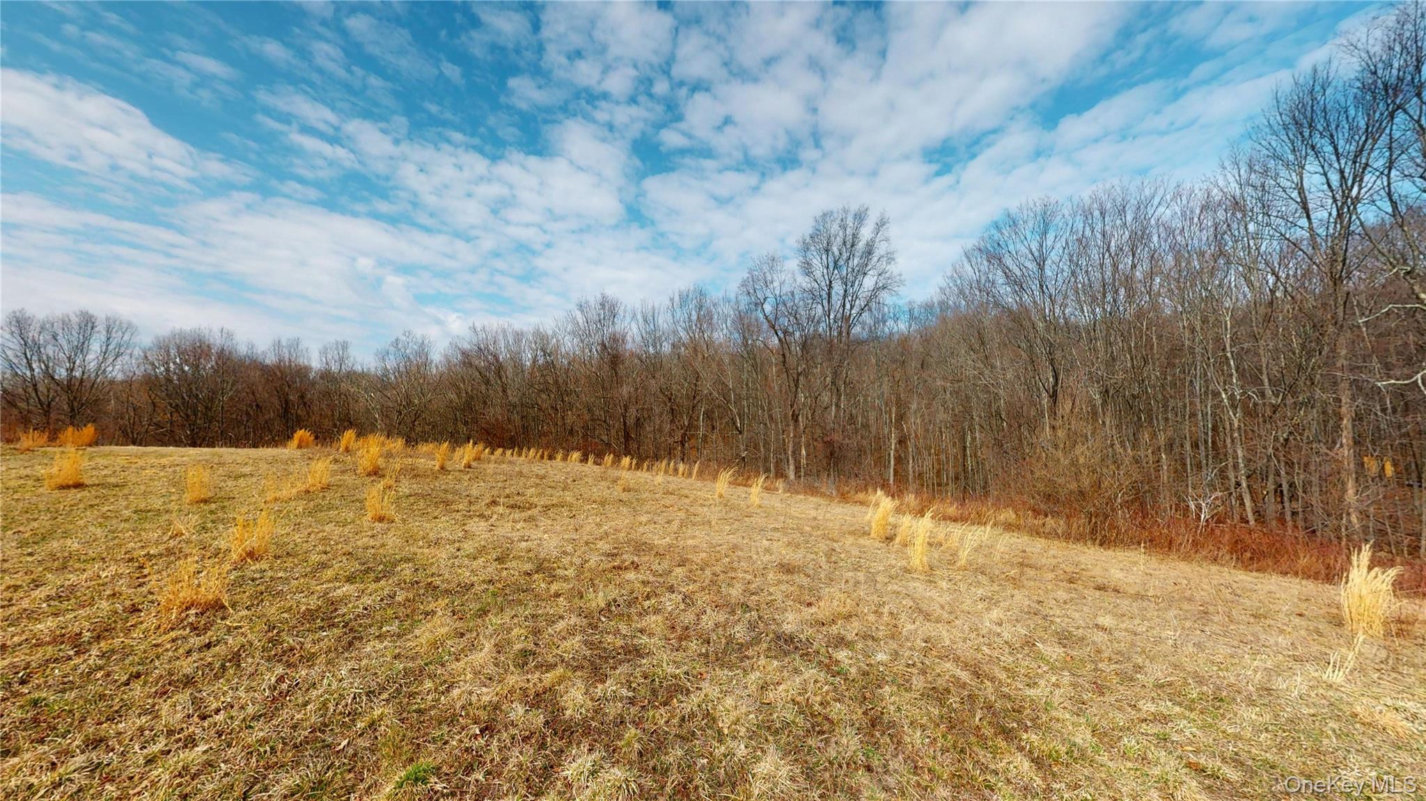 Single Family Blue Heron  Orange County, NY 12771, MLS-978954-42