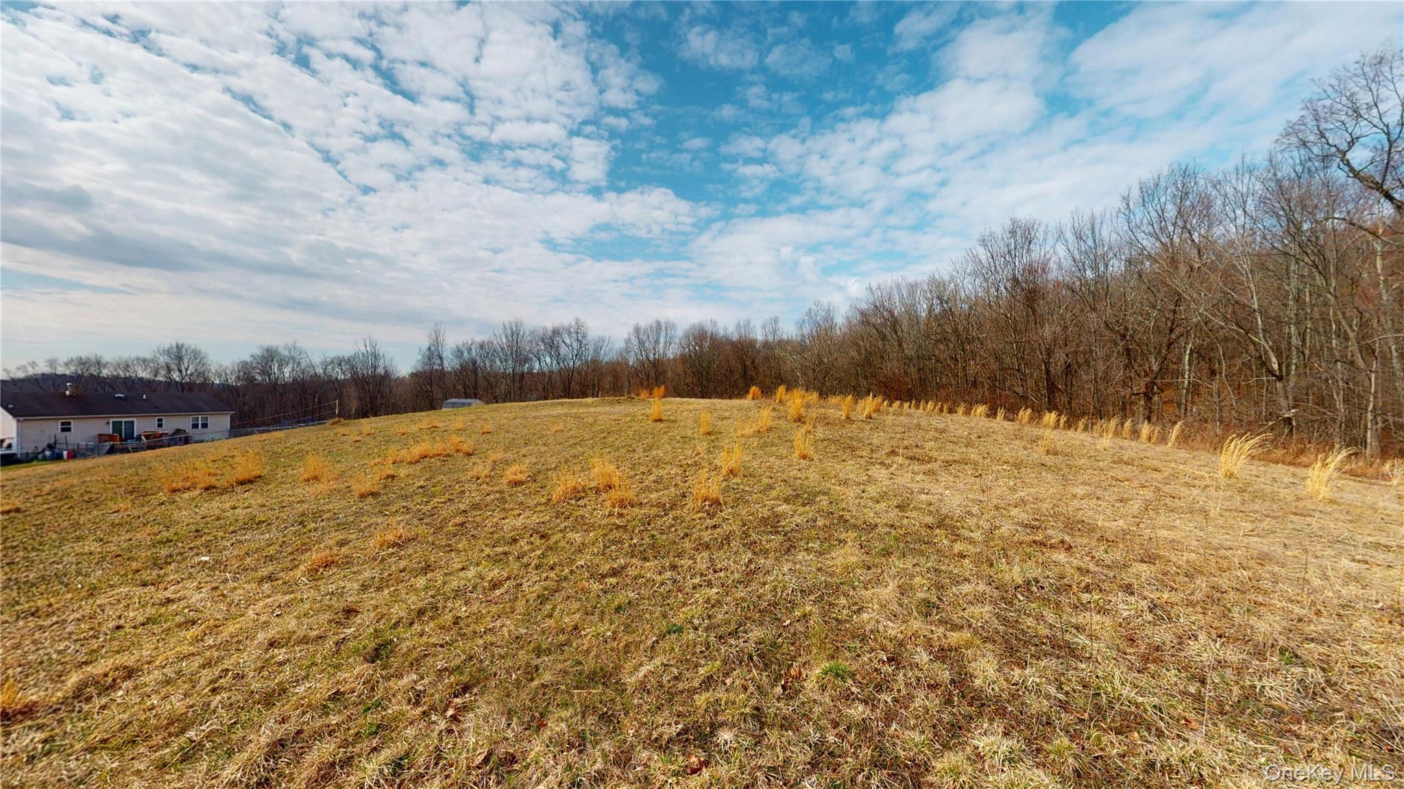 Single Family Blue Heron  Orange County, NY 12771, MLS-978954-43