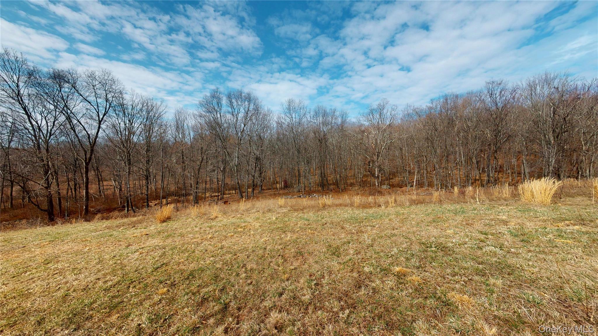 Single Family Blue Heron  Orange County, NY 12771, MLS-978954-45