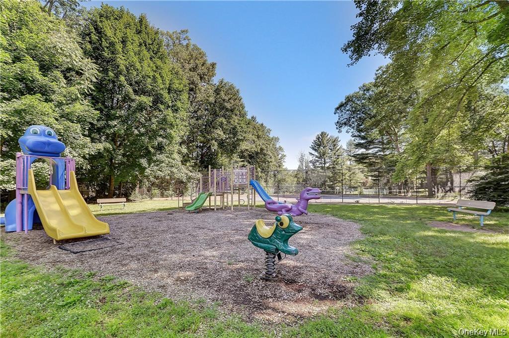 Condo Somerset  Rockland County, NY 10901, MLS-978992-33