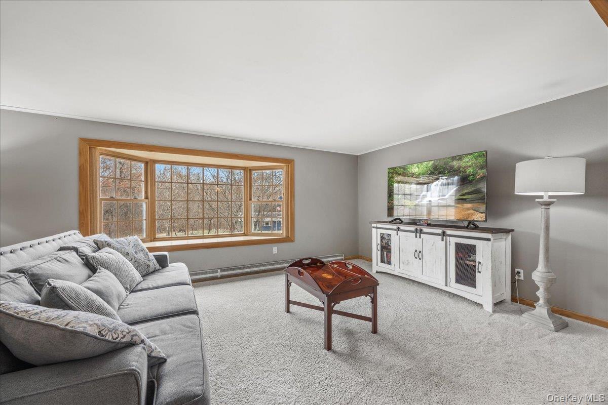 Single Family Mill  Orange County, NY 12589, MLS-979039-3