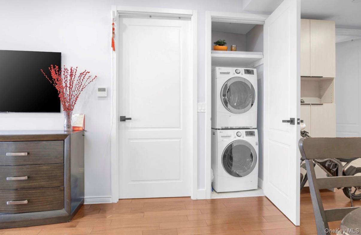 Condo Northern Queens, NY 11354, MLS-979105-13